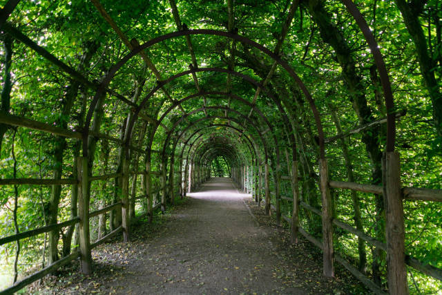 Green passage made of trees and leaves on the area of Schwerin castle