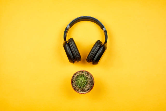 A headphone and cactus plant on yellow background