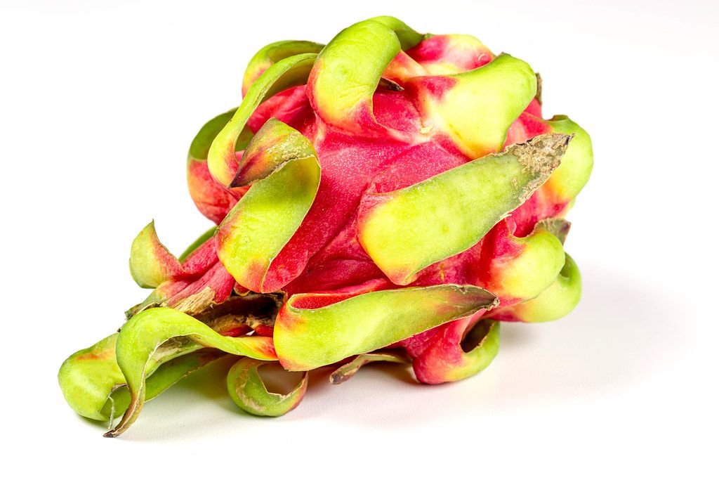 Drachenfrucht oder Pitaya vor weißem Hintergrund. Ursprünglich stammt die Pflanze aus Mittel- und Südamerika
