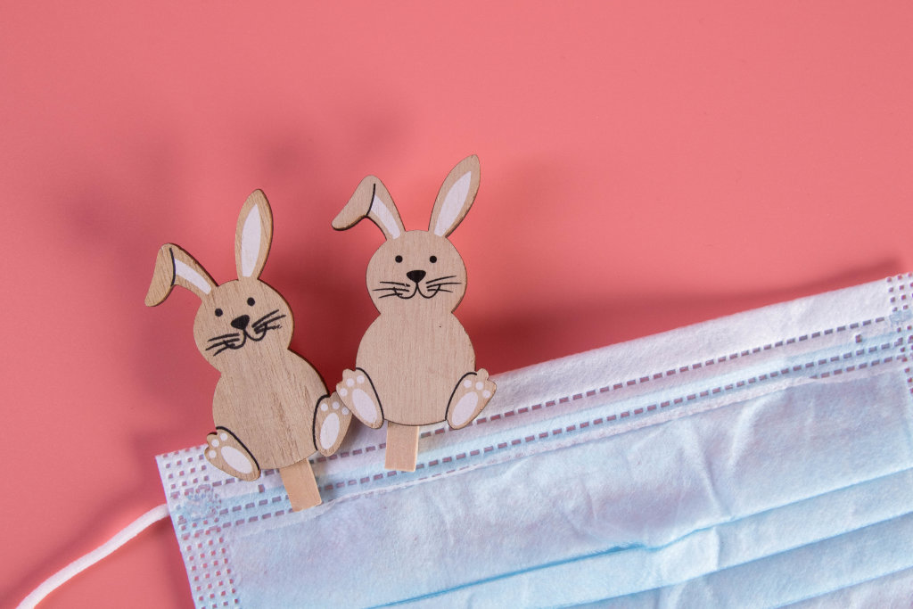 Easter bunnies with medical face mask