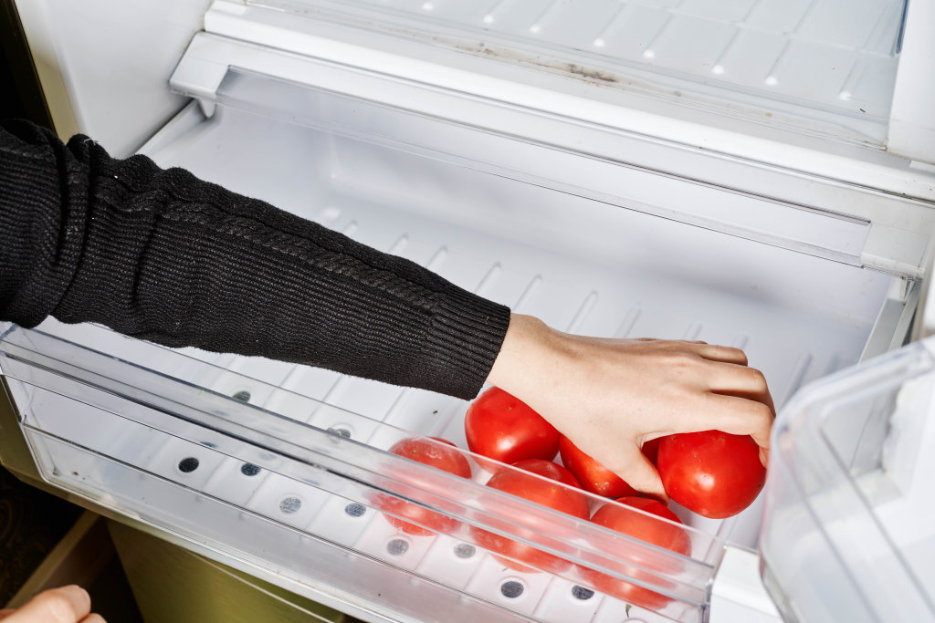 Housewife putting fresh tomatoes into the fridge Kostenloses Foto auf