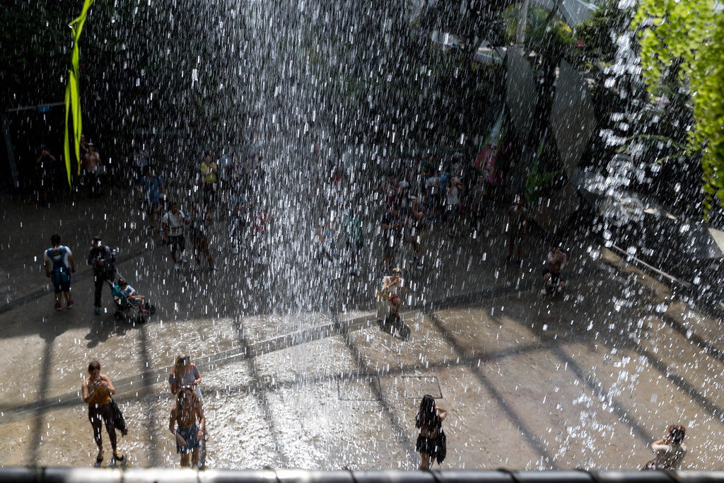 Indoor Waterfall in Cloud Forest