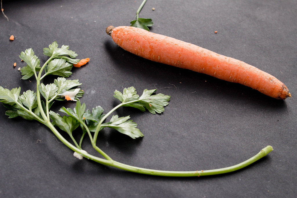 A carrot and parsley in dark background