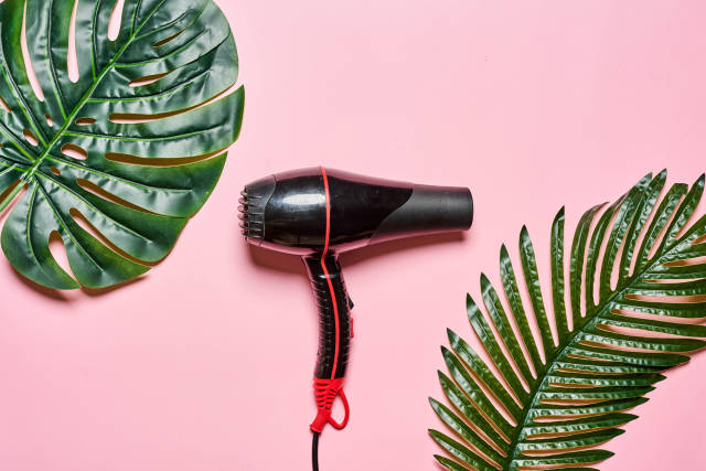 Hair dryer and palm leaves