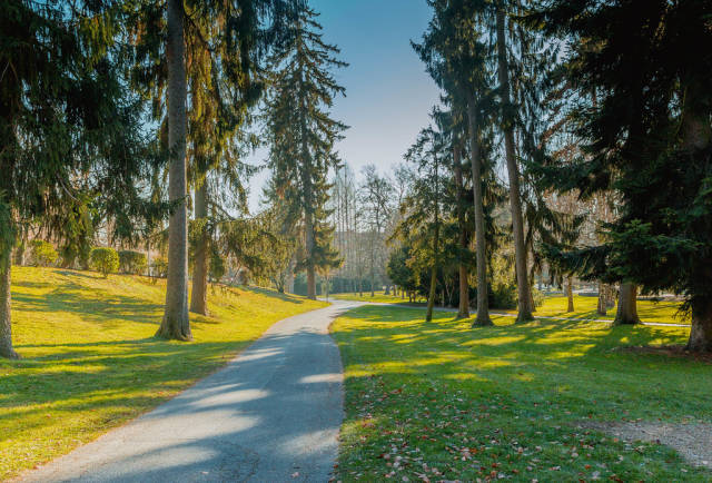 City park in Maribor