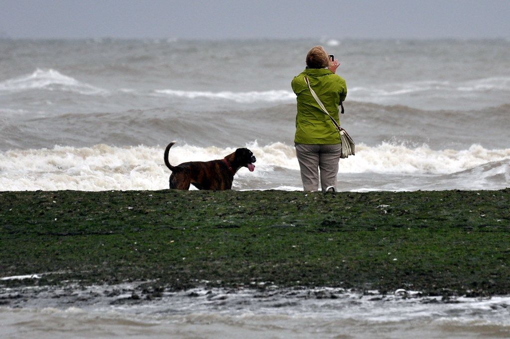 Frau mit Hund am Strand