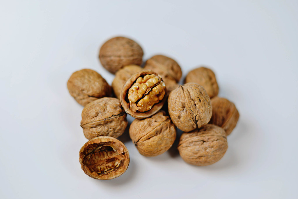 Walnüsse vor weißem Hintergrund