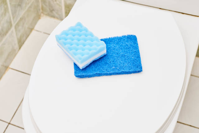 Sponges on the toilet seat cover