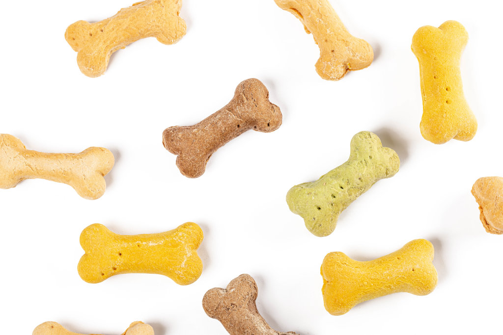 Canine snacks colored bones on white