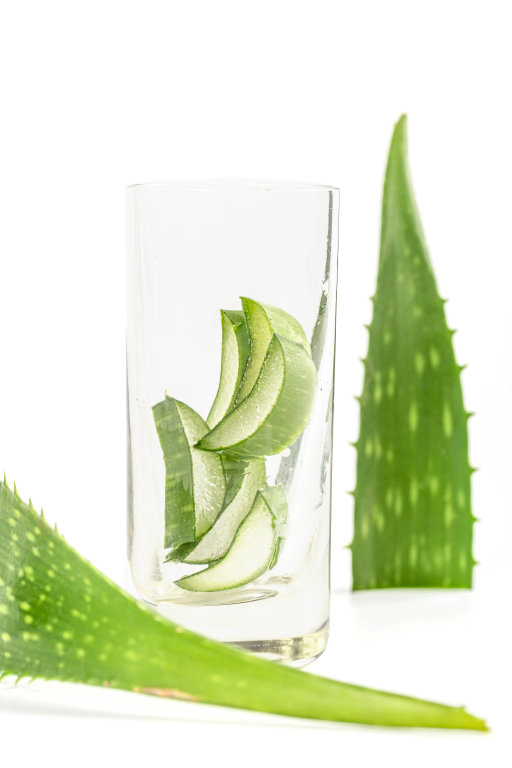 Natural medicinal plant aloe, the concept of cosmetology and care