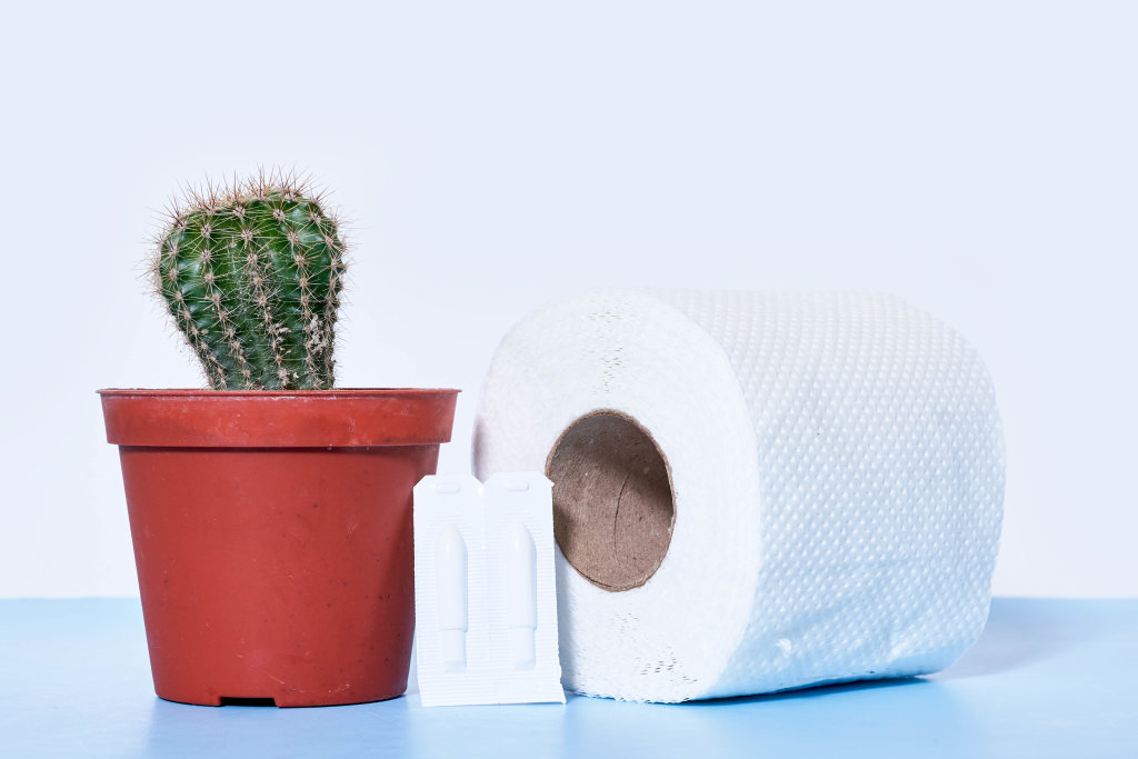 Hemorrhoidal suppository, toilet paper roll and cactus plant - concept of hemorrhoids