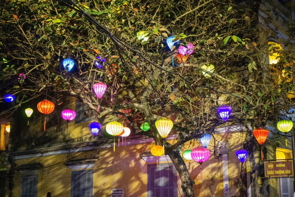 Viele Lampions in verschiedenen Formen und Farben hängen an einem Baum in der Altstadt in Hoi An, Vietnam