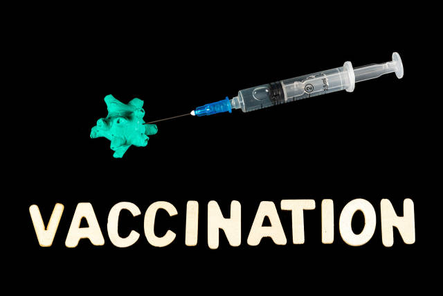 Concept of protection against viruses through vaccination