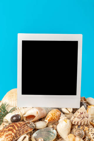 Blank polaroid photo positioned on seashells