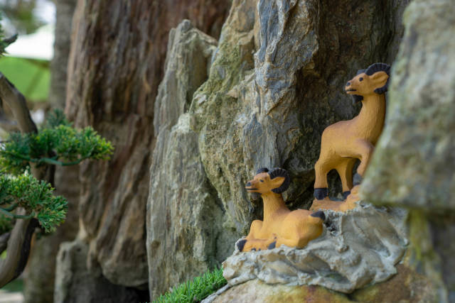 Close Up Photo of Miniature Animal Mouflon as Decoration in a Garden next to a Pond at Sound of Silence Coffee in Hoi An, Vietnam