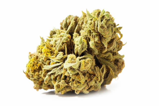 Marihuana Blüten vor weißem Hintergrund