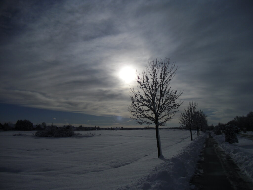 Wintersonne