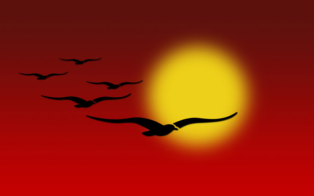Vögel vor Sonne