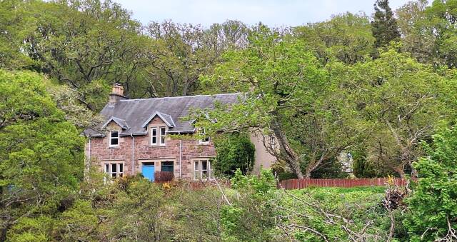 das Haus im Wald