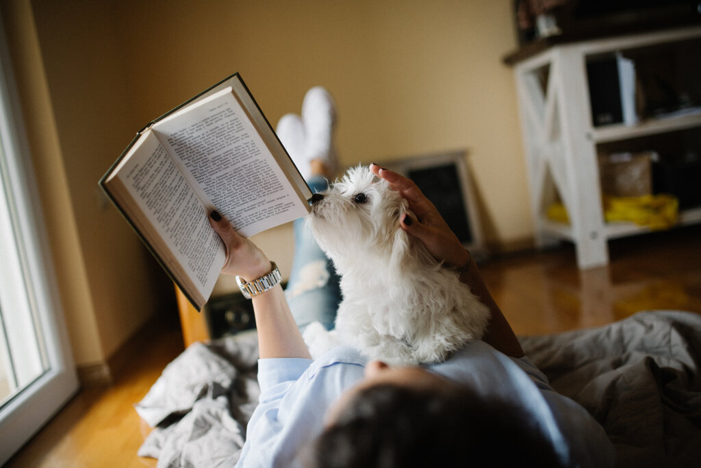 Woman reading at home on with her dog.