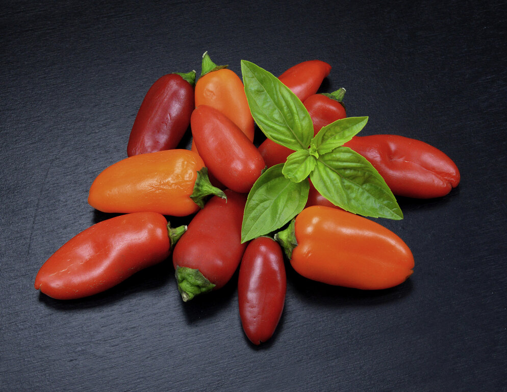 Paprika, Peperoni