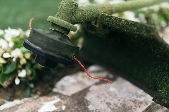 Closeup of the trimmer wire.