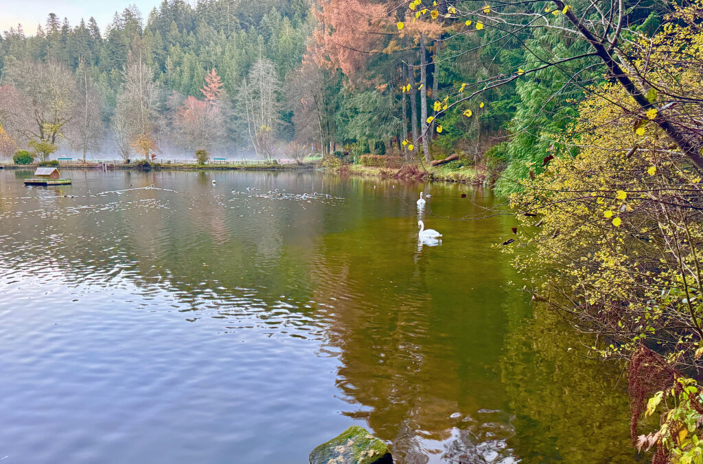 Herbstlicher Waldsee