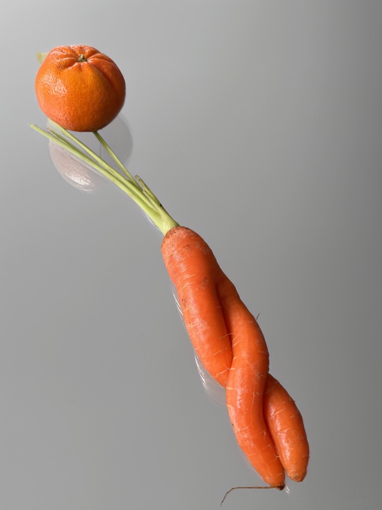 Karotte und Mandarine