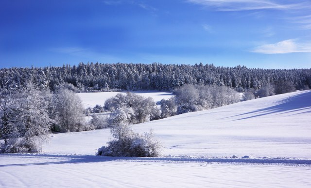 Winterlandschaft mit Schnee