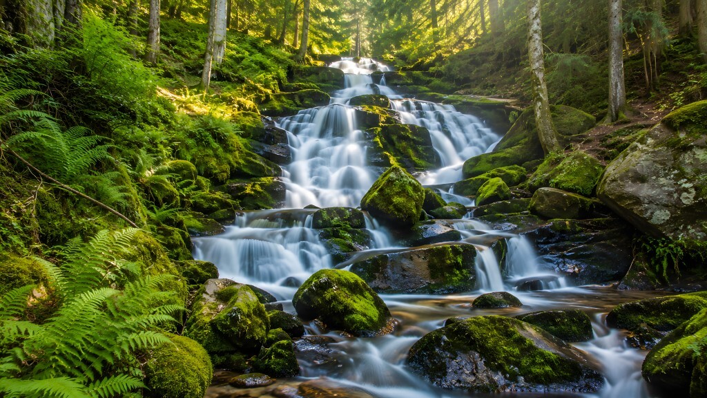 Mehrstufiger Wasserfall im moosreichen Bergwald