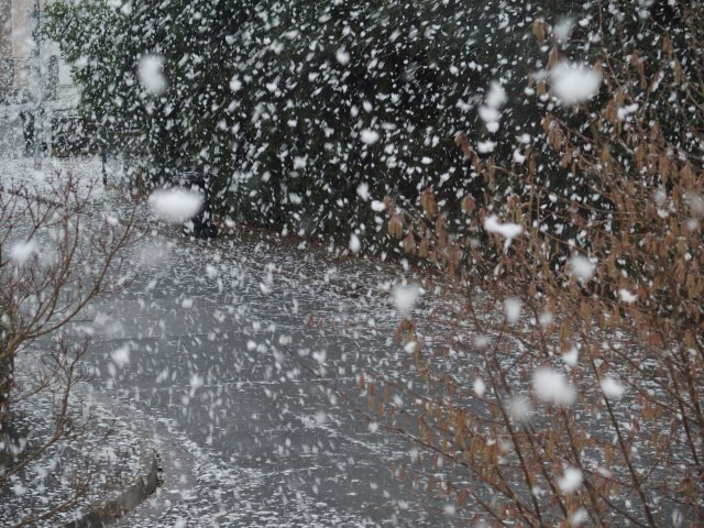 Schneefall in der Stadt