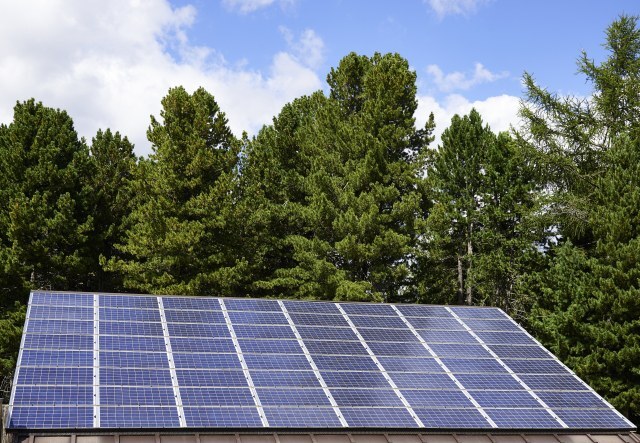 Solaranlage unter Bäumen - grüner Strom