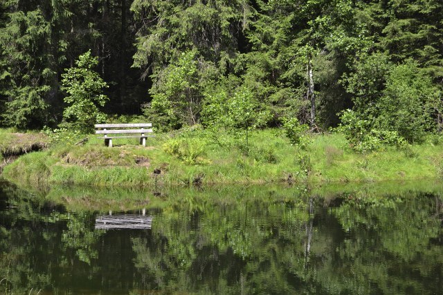 Schwellweiher (Sitzweilweg) im Bayerischen Wald