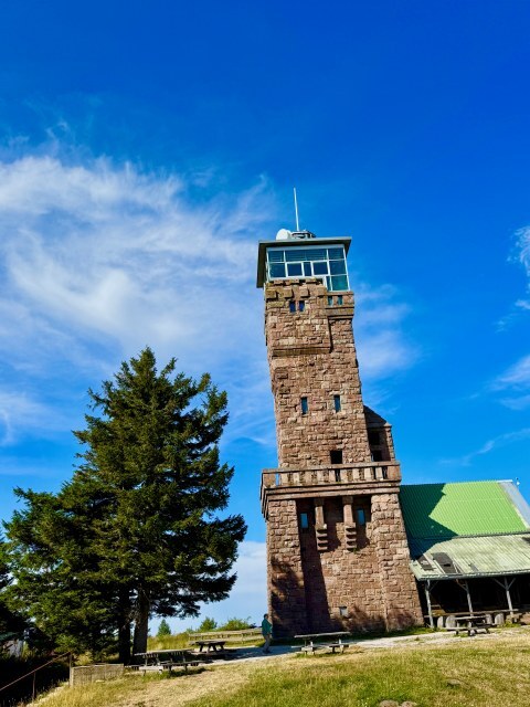 Aussichtsturm im Grünen (Hornisgrinde)